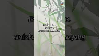 Kumemandang Engkau Sayang shorts