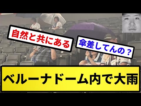 【自然と一体化】ベルーナドーム内で大雨【反応集】【プロ野球反応集】【2chスレ】【5chスレ】