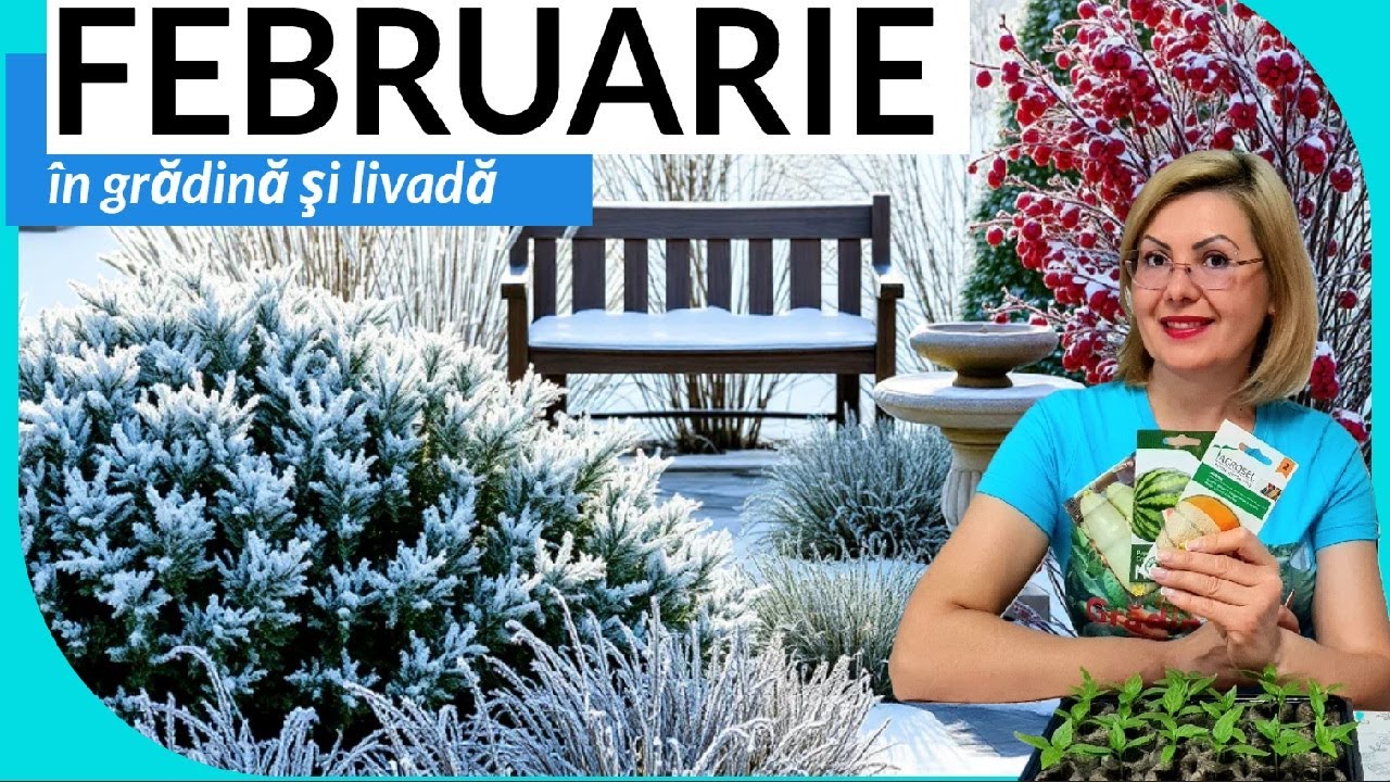 Lucrările principale în grădină și livadă în luna februarie.  Ce semănăm în februarie 
