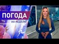 Погода на неделю с 14 по 20 июня 2021. Прогноз погоды. Беларусь | Метеогид