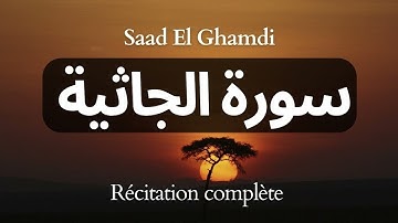 Sourate Al Jathiya - Sheikh Saad Al Ghamdi سورة الجاثية