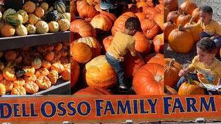 VISITING DELL OSSO FAMILY FARM | Family Trip to the pumpkin patch Fall 2021