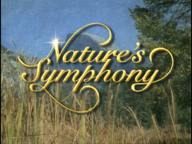 Nature's Symphony - YouTube