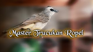 Master Trucukan Ropel