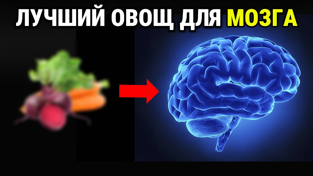 Лучший овощ для мозга и памяти! Ешьте чаще — и увидите разницу!