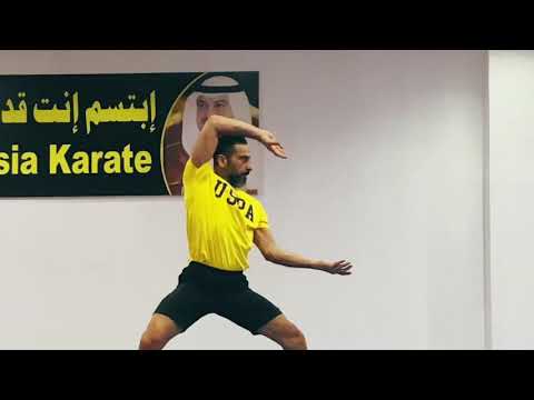 تدريبات كاتا باساي شو 