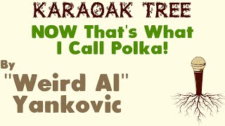 Weird Al Yankovic - NOW Thats What I Call Polka [Karaoke]