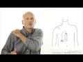 Chest Pain 3: Referred pain