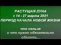 Растущая луна с 14- 27 марта 2021. Влияние луны. Что можно и нельзя делать. Фазы луны.