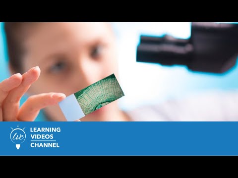 How to Prepare and Observe a Microscope Slide - More Lab Safety on the Learning Videos Channel