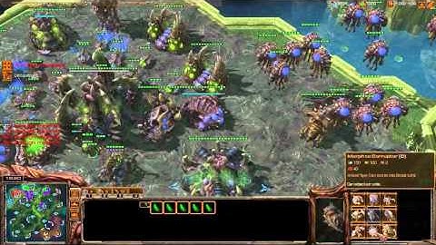 SC2 3v3 razio,panda,flash part 3