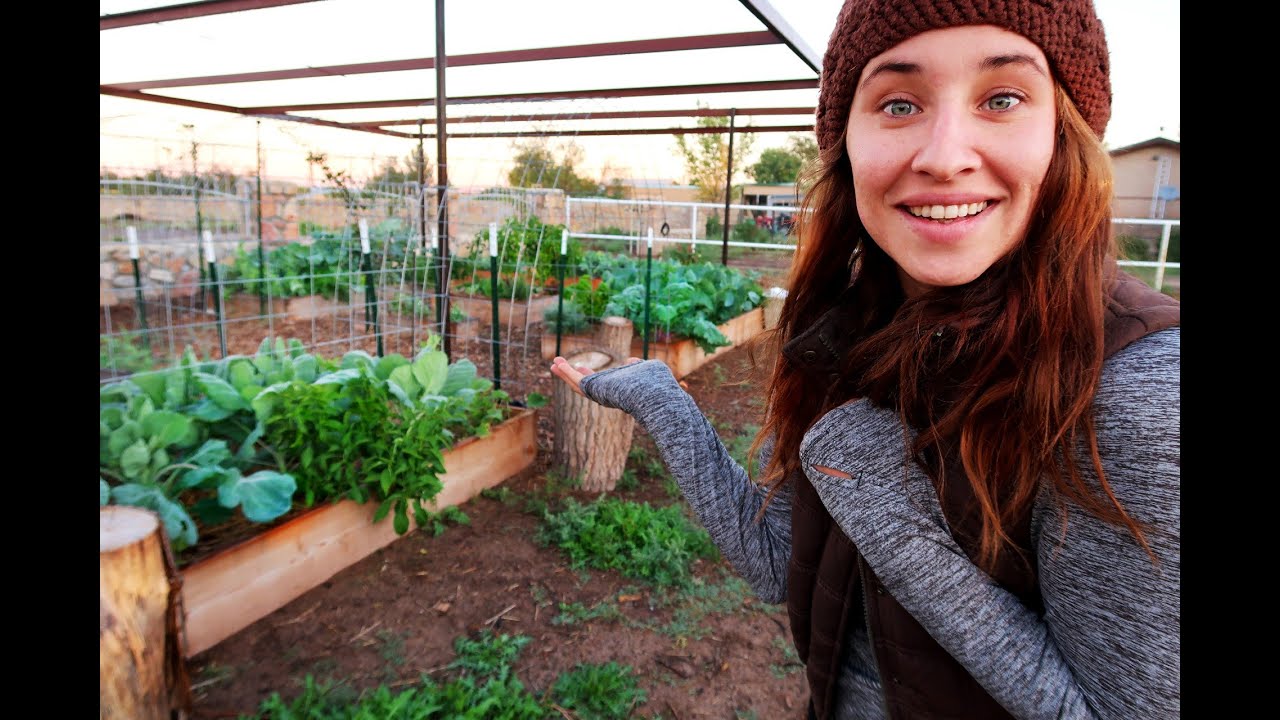 Fall Garden Tour 2022 | Winter is Coming - YouTube