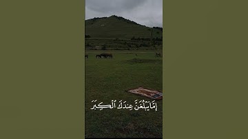 و قضى ربك ألا تعبدوا الا اياه | سورة الإسراء | بصوت ياسر الدوسري @Yasseraldosry