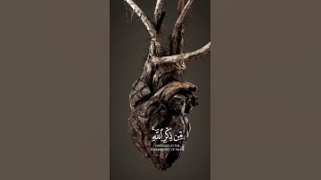تلاوي خاشعة فويل للقاسية تقلوبهم من ذكرالله سورة الزمر تلاوة خاشعة ماهر المعيقلي#اكسبلو #دويتو #لايك