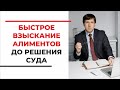 Как взыскать алименты до решения суда? на какие статьи ссылаться? Советы опытного семейного юриста