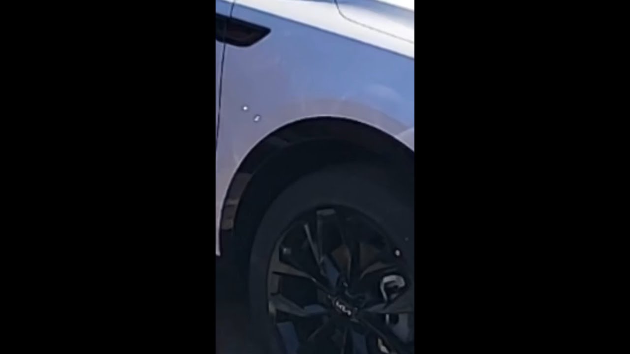 Bob Sight Sticker Sale!