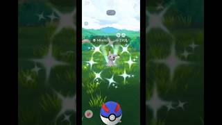 Shiny Mimikyu In Pokemon Go