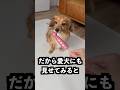 成人男性がほぼ全員使い方を間違えるイカの正体がまさかすぎた！