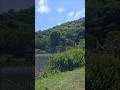 Hiking mini vlog.🏞#gibagorge #hiking #finalexams