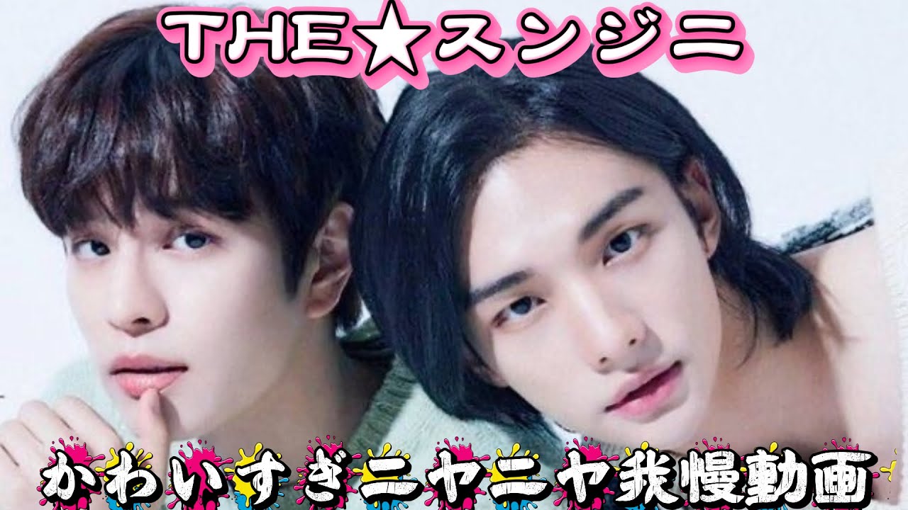 【straykids】スンジニって癒しでしかないんよ。