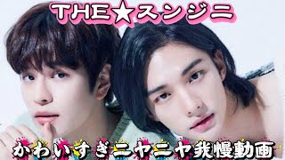 Download lagu 【straykids】スンジニって癒しでしかないんよ。