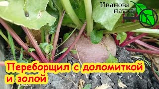видео: ЧТО БУДЕТ, ЕСЛИ ПЕРЕБОРЩИТЬ С ДОЛОМИТКОЙ или ЗОЛОЙ? Все советы и рекомендации здесь! картинка: ЧТО БУДЕТ, ЕСЛИ ПЕРЕБОРЩИТЬ С ДОЛОМИТКОЙ или ЗОЛОЙ? Все советы и рекомендации здесь!