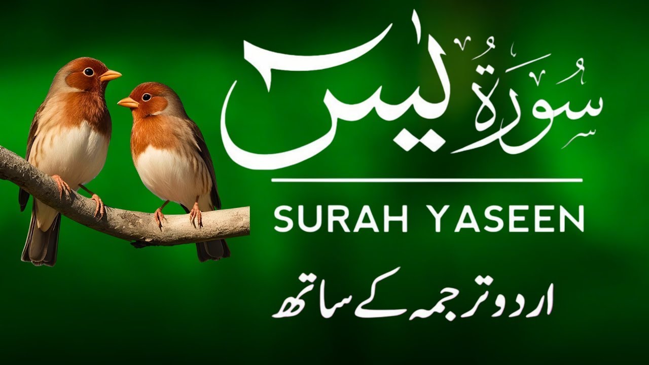 Surah Yaseen | Surah Yaseen With Urdu Translation | Al Furqan Studio | Ep081