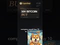 Saylor's Bitcoin Bet