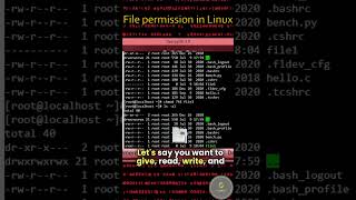 How to control File Permissions in Linux chmod | #Linux #Unix #shorts