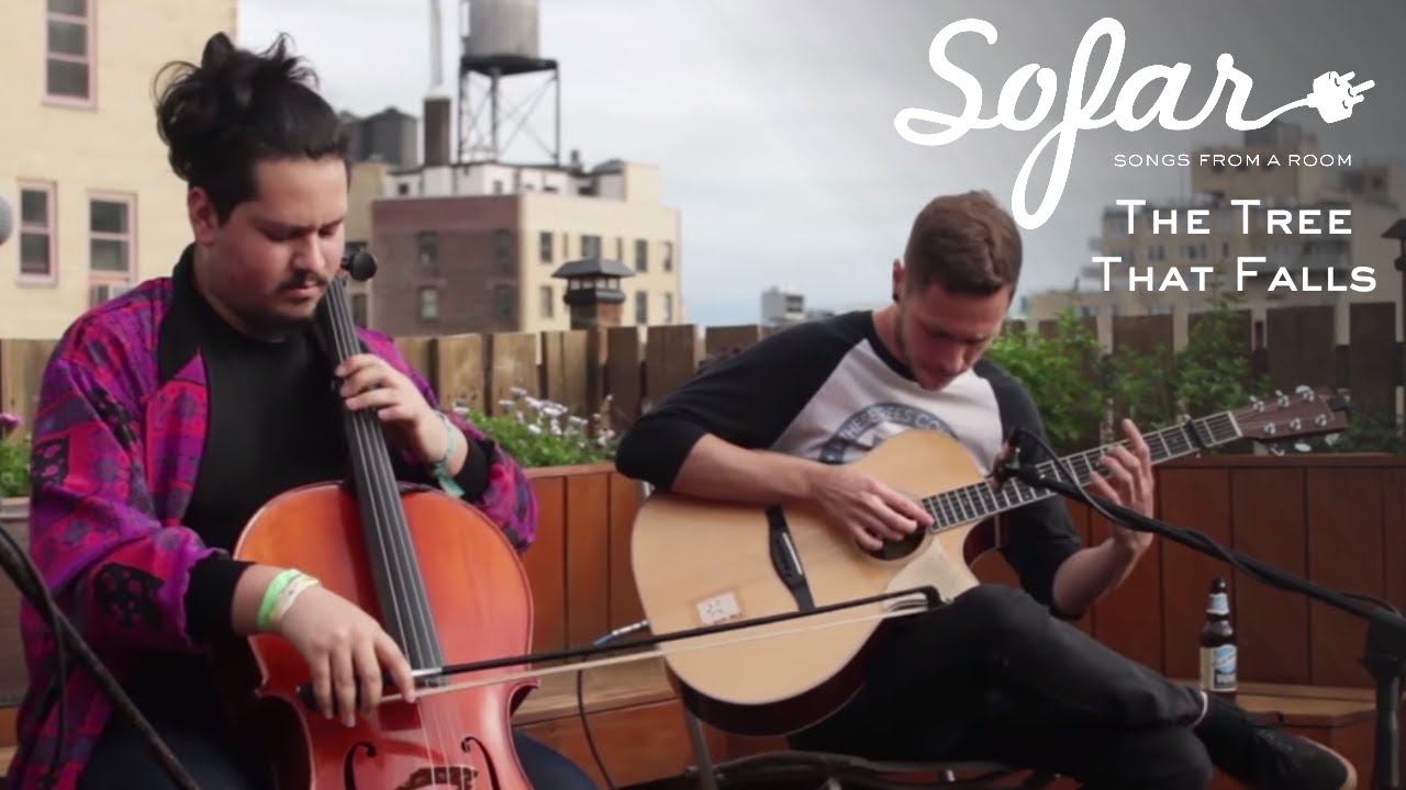 The Tree That Falls - By the Seneca Guns | Sofar NYC
