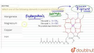 Which one of the following elements is present in chlorophylls?