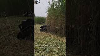 China manufacturer wireless track lawn grass cutter affordable factory low price for sale #rcmower