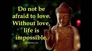 Great Buddha Quotes on Life | Buddha's Words of Wisdom Update