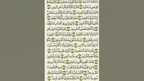 سورة الصافات من الآية ٢٥ إلى الآية ٥١بصوت القارئ ماهر المعيقلي