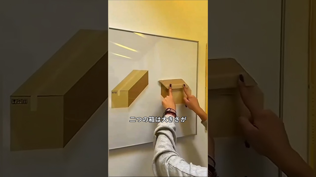 脳がだまされる ジャストロー錯視