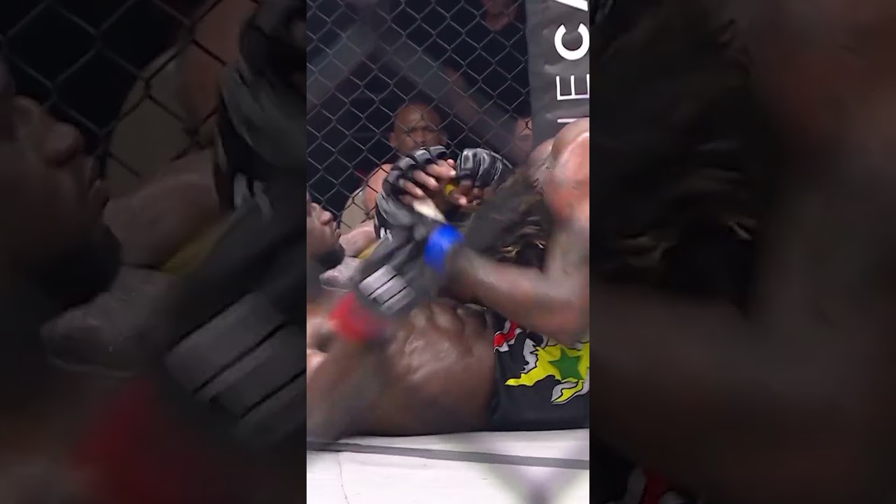 Shocking Fight! Audience Stunned as One Deadly Kick Ends It Instantly! 
