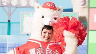 綾瀬はるかがアルパカに！？