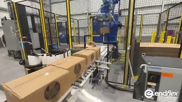 Z.ZAG Robotic Palletizer for Placing Pallet, Slip Sheet and Stacking Cases