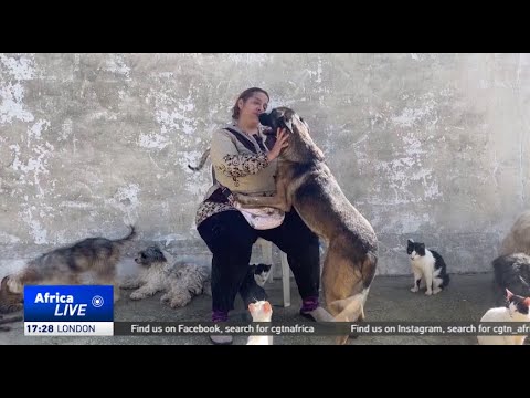 Tunisian woman offers refuge for injured pets