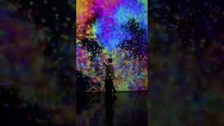 Exploring Interactive Projection Mapping Art Wall
