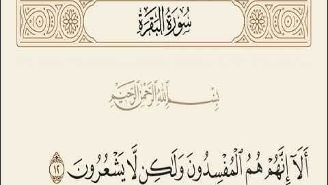 سوره البقره الايات 11 و 12 و13 و14