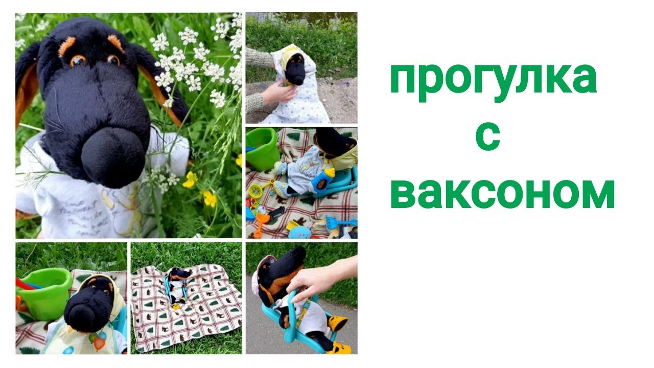 Прогулка с ваксоном!