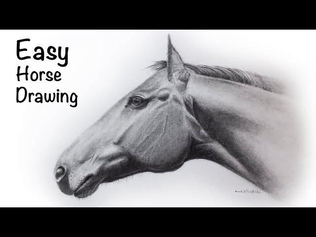 My project for course: Realistic Wildlife Images in Graphite Pencil |  Domestika