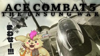 【 #acecombat5 】大空はお前のモノ【Vtuber】