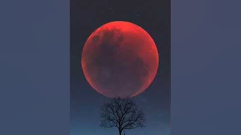 مقطع من صلاة التراويح بمسجد عبد الرحمن بن عوف الليلة التاسعة بصوت هادئ لما تيسر من سورة النساء