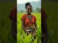 Top 5 techniques agricoles durables africaines