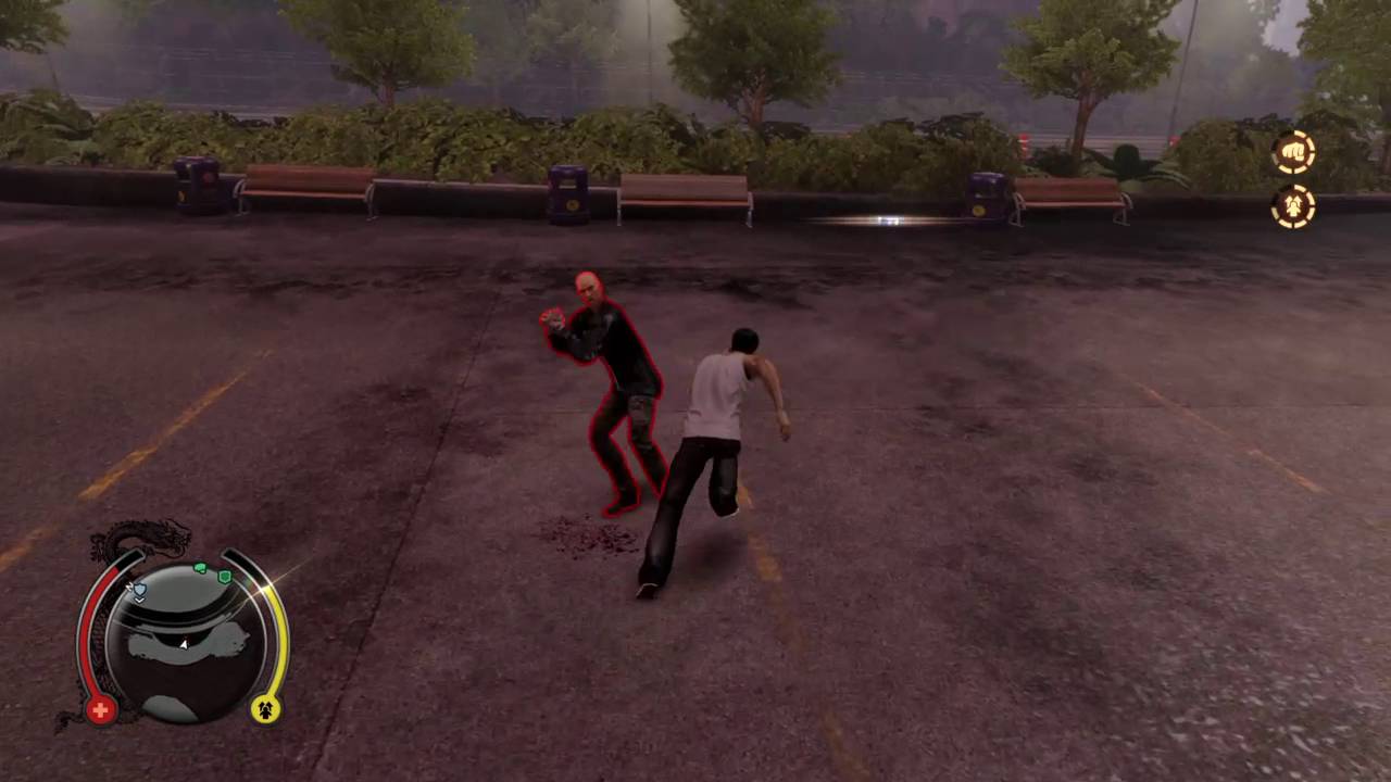 3 sleeping dogs image 3 sleeping dogs image