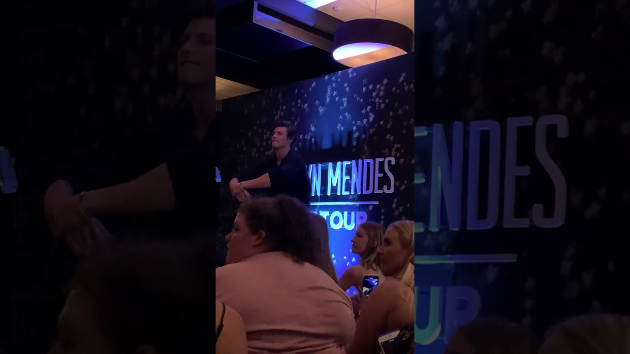 Shawn Mendes: The Tour, Brisbane Q&A