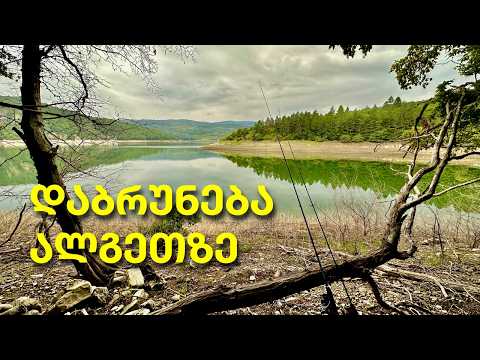 ალგეთზე თევზაობა 3 თვიანი პაუზის შემდეგ | 2024
