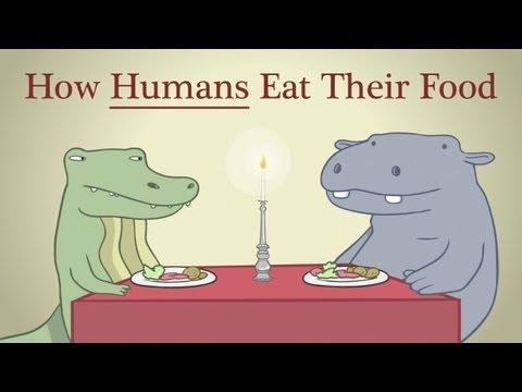 Hippo & Croc: How Humans Eat Their Food